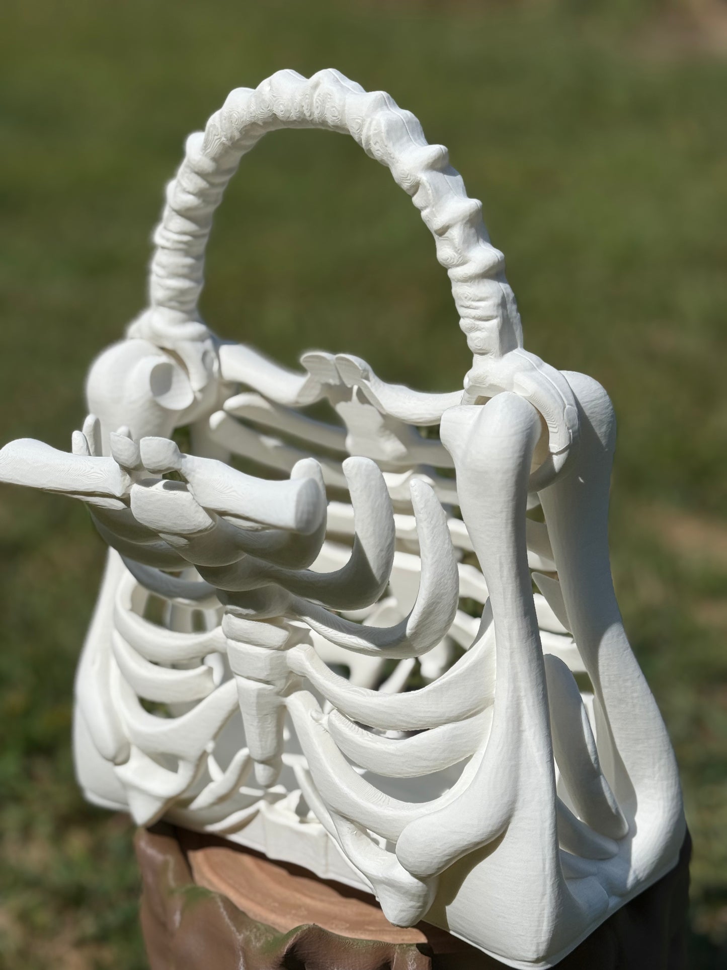 Bone Bag