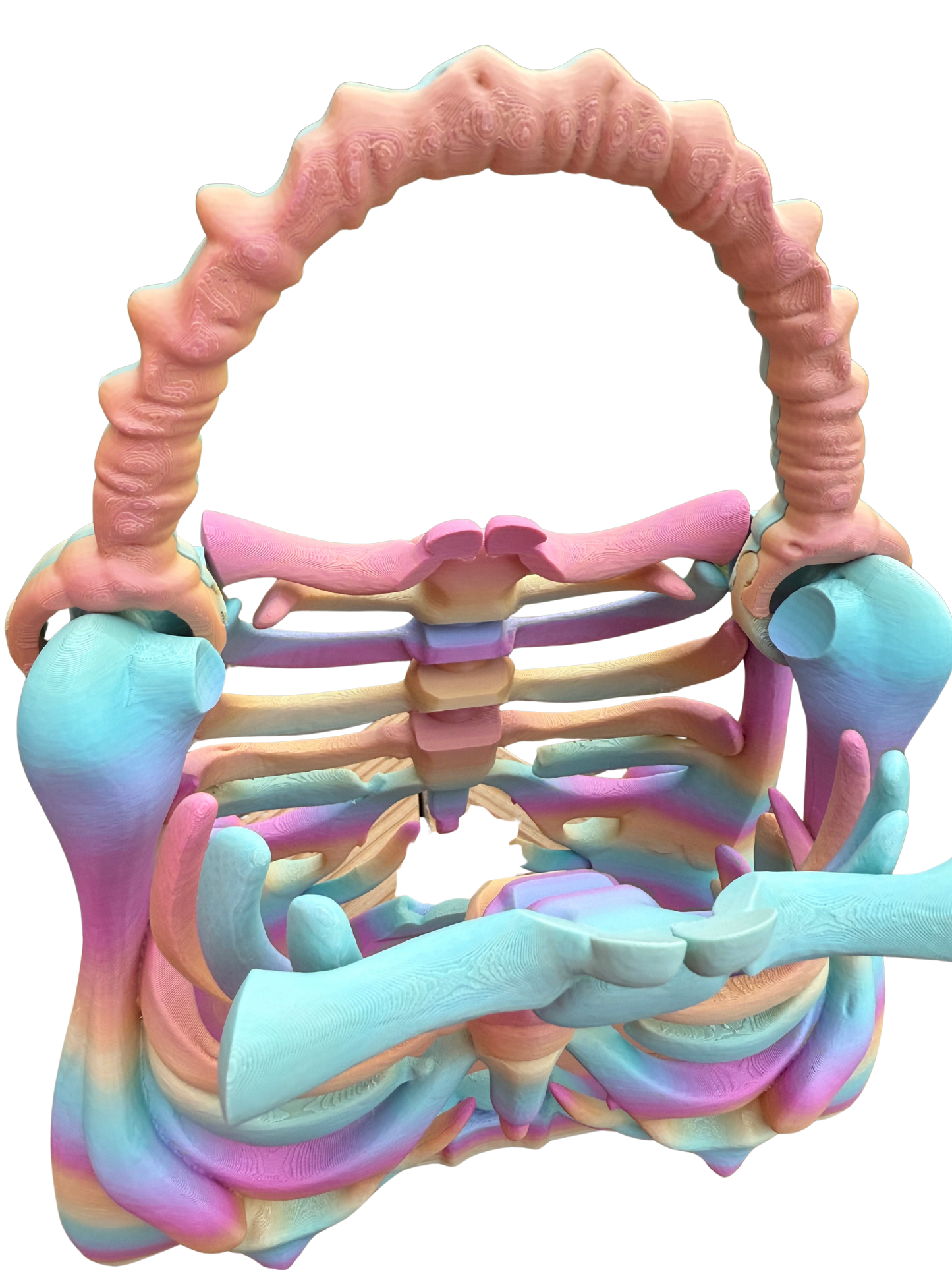 Bone Bag